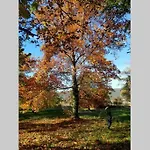 Les Du Fesquet - Agreable T2 Independant Dans Cadre Calme Et Verdoyant Cazilhac (Herault)