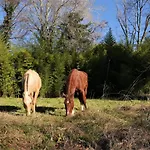 Les Du Fesquet - Agreable T2 Independant Dans Cadre Calme Et Verdoyant Cazilhac (Herault)