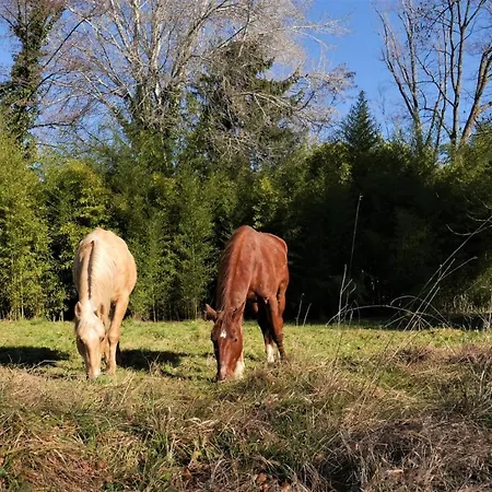 Les Gites Du Fesquet - Agreable T2 Independant Dans Cadre Calme Et Verdoyant Cazilhac (Herault)