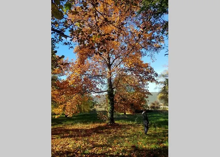 Les Du Fesquet - Agreable T2 Independant Dans Cadre Calme Et Verdoyant Cazilhac (Herault)