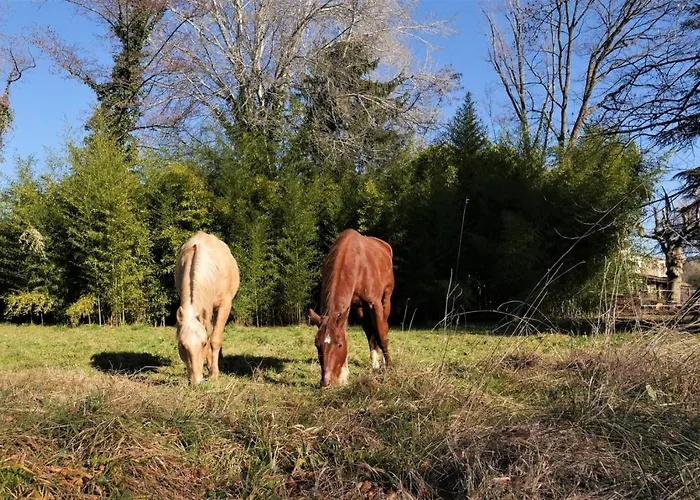 Les Du Fesquet - Agreable T2 Independant Dans Cadre Calme Et Verdoyant Cazilhac (Herault)